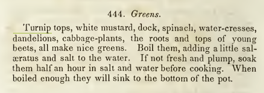 Kristin Holt | Victorian America's Dandelions. "Greens. Turnip tops, white mustard, dock, spinach, water-cresses, dandelions, cabbage-plants, the roots and tops of young beets..." The Improved Housewife or Book of Receipts with Engravings by Mrs. A. L. Webster, 1852, 15th edition.