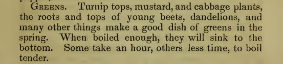 Kristin Holt | Victorian America's Dandelions. From The American Matron on Practical and Scientific Cooking by a Housekeeper, 1851: Greens. Recipe and instructions for "turnip tops, mustard, and cabbage plants, the roots and tops of young beets, dandelions, and many other things make a good dish of greens in the spring. When boiled enough, they will sink to the bottom. Some take an hour, others less time, to boil tender."