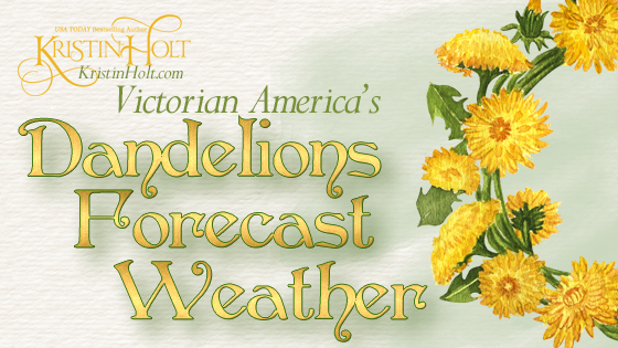 Kristin Holt | Victorian America's Dandelions Forecast Weather