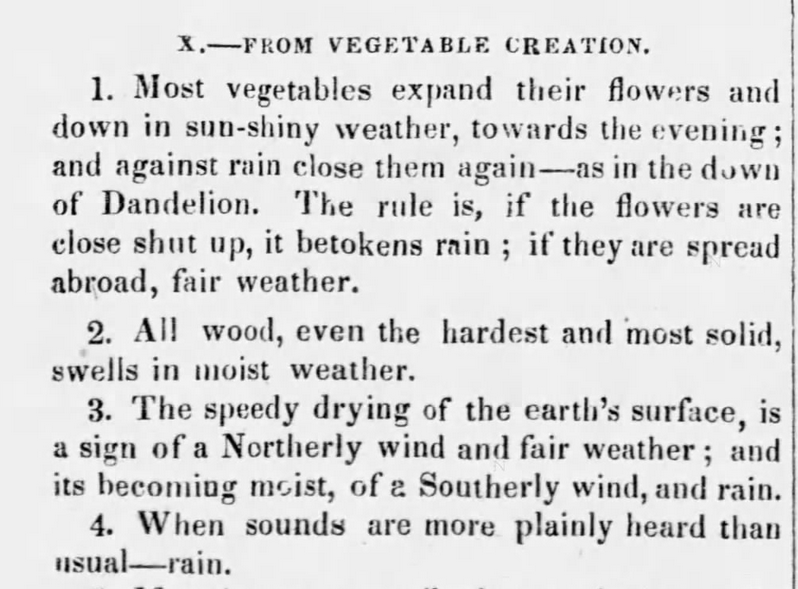 Kristin Holt | Victorian America's Dandelions. Nature's forecast of weather includes dandelions' contribution. New England Farmer of Boston, Massachusetts on June 27, 1838.